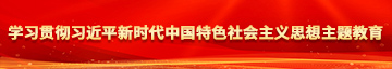 动漫美女啪啪网站视频学习贯彻习近平新时代中国特色社会主义思想主题教育